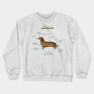 Anatomy of a Dachshund Crewneck Sweatshirt